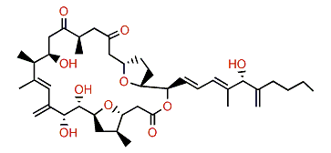 Amphidinolide C